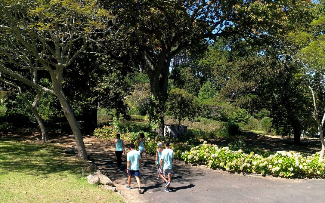 Victoria Park Community Infrastructure Plan Review